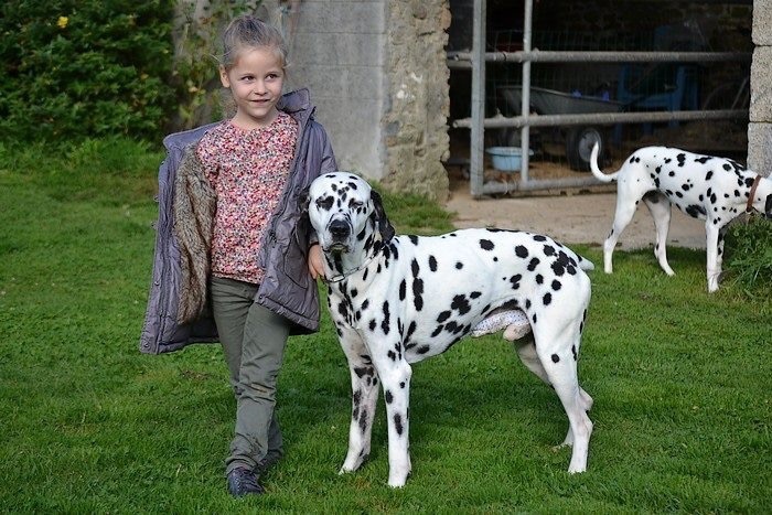 Rencontre avec theakston terminator "Luca" père de Holly